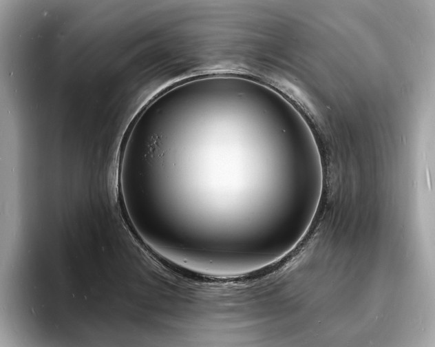 X0000093721228200710161052