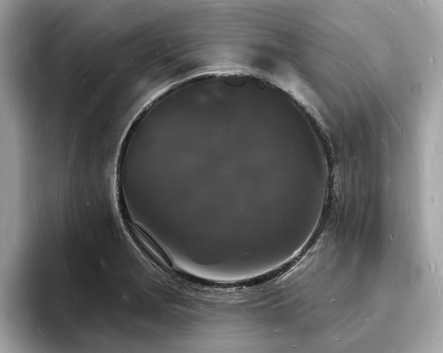 X0000093721229200710161052