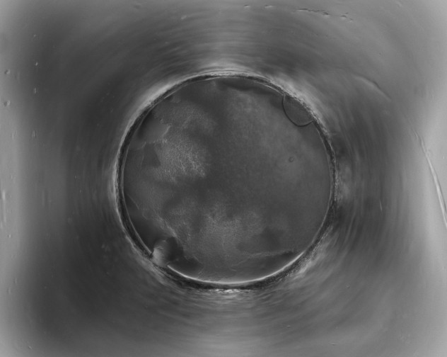 X0000093721231200710161052
