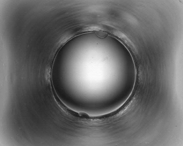 X0000093721233200710161052