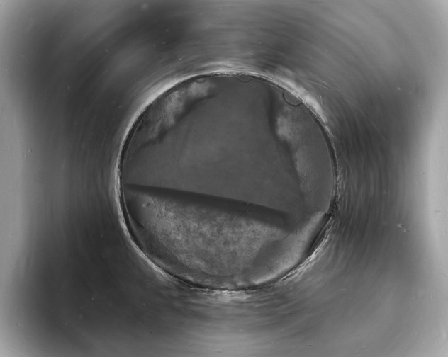 X0000093721239200710161052