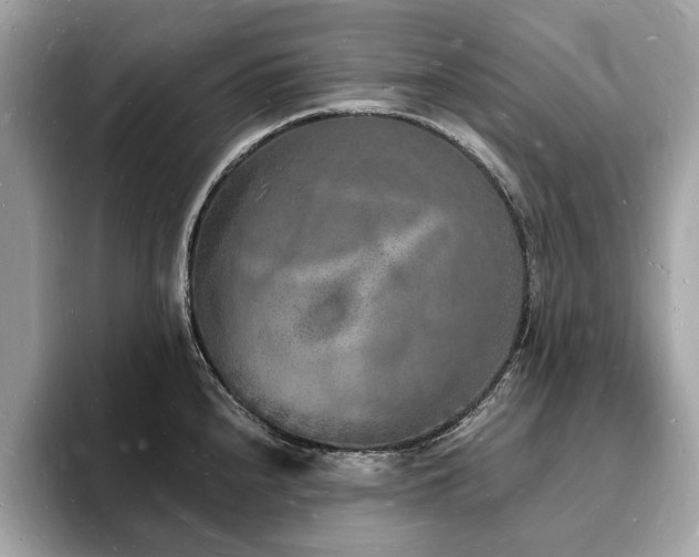 X0000093721240200710161052
