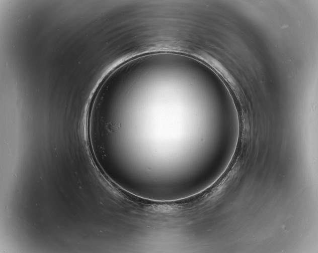 X0000093721246200710161053