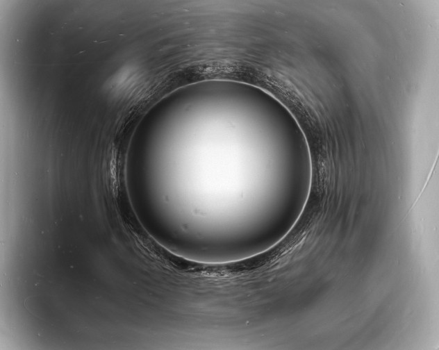 X0000093721250200710161052