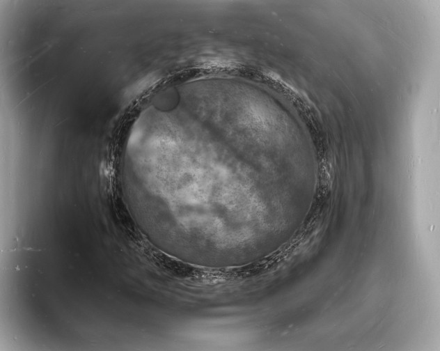 X0000093721254200710161052