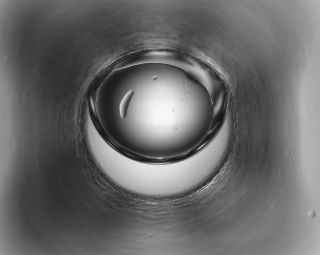 X0000093721261200710161052