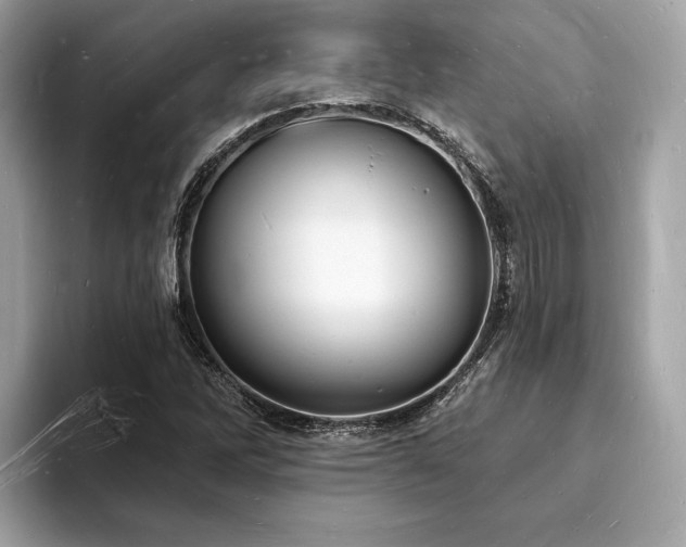 X0000093721262200710161052