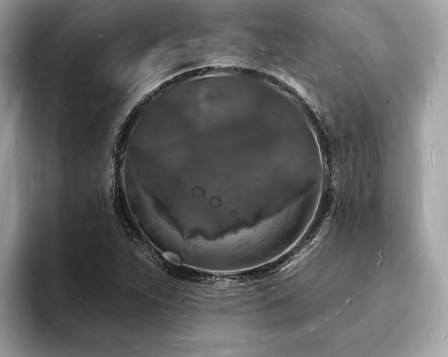X0000093721263200710161052