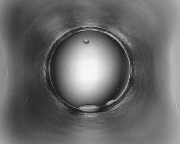 X0000093721264200710161052