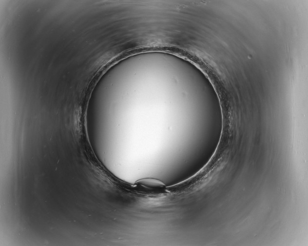 X0000093721265200710161052