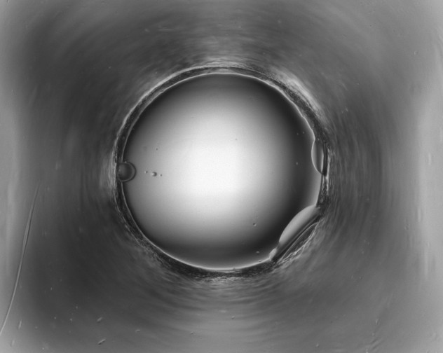 X0000093721268200710161052