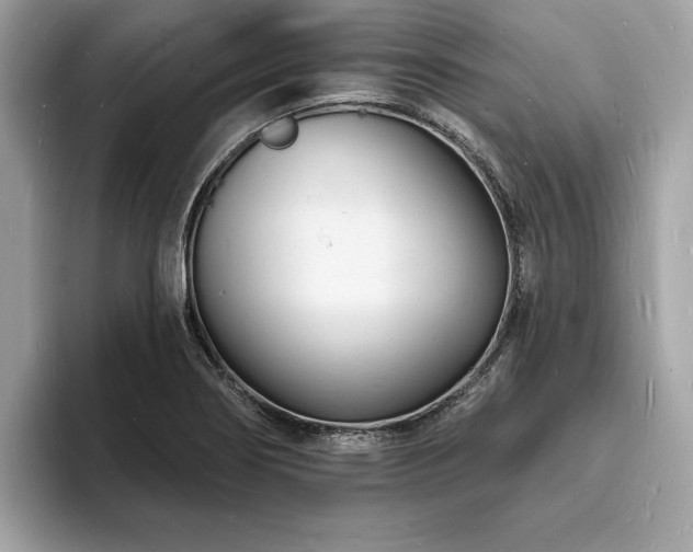 X0000093721274200710161052