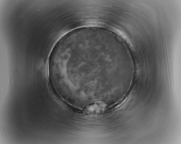 X0000093721275200710161052