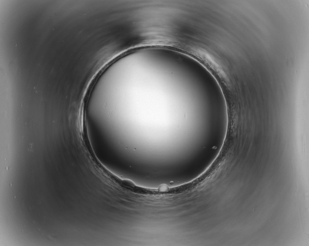 X0000093721276200710161052