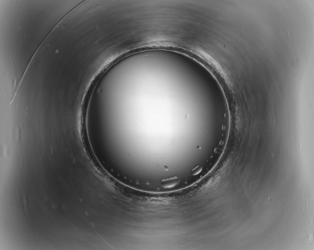 X0000093721277200710161052