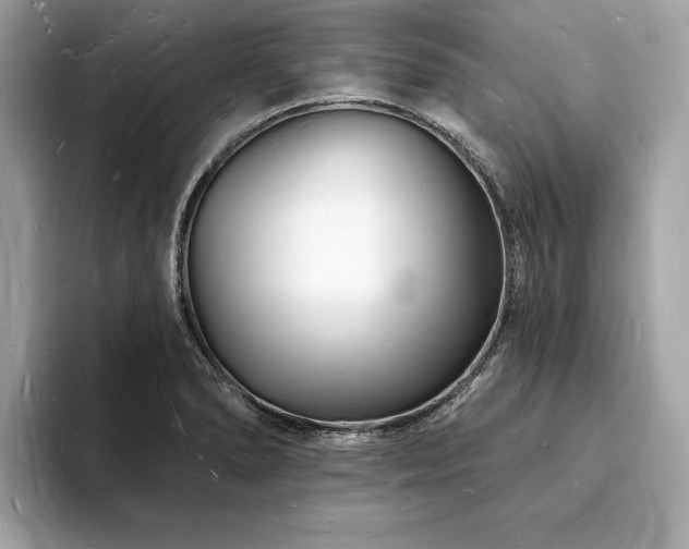 X0000093721278200710161052