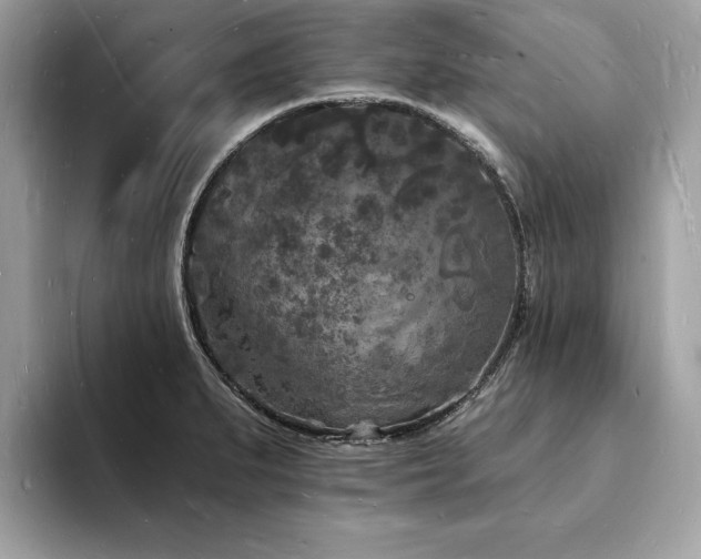 X0000093721279200710161052