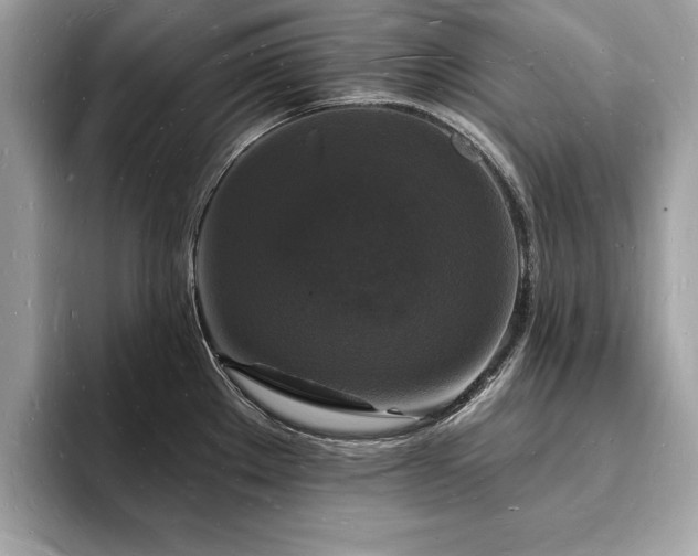 X0000093721289200710161052