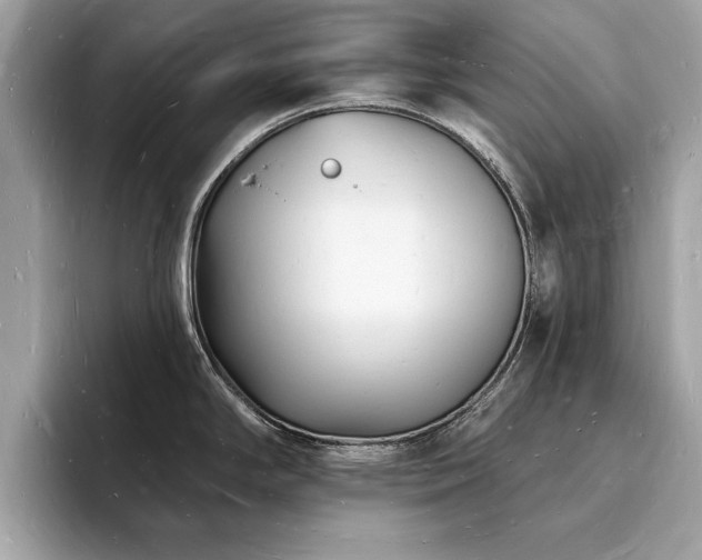 X0000093721294200710161051