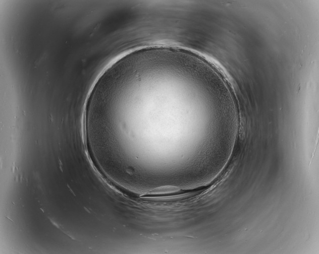 X0000093721295200710161051