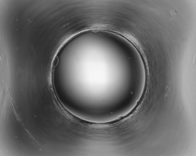 X0000093721296200710161051