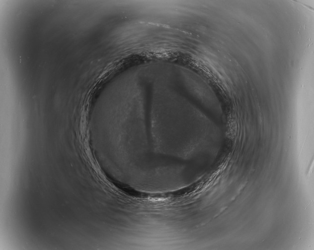 X0000093721297200710161051
