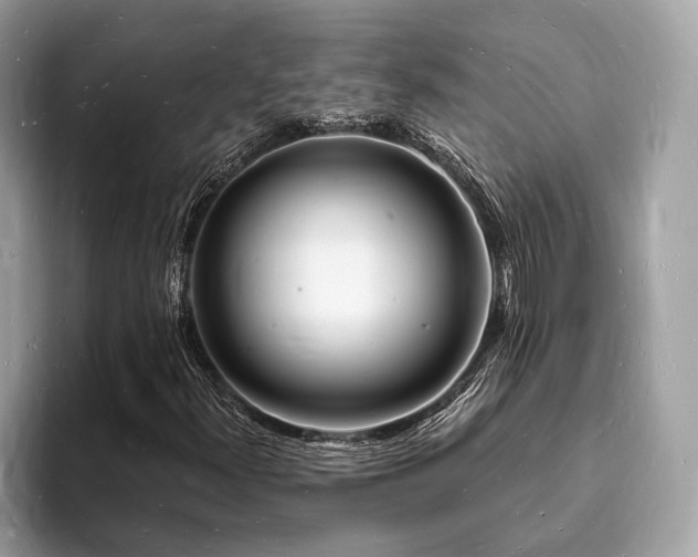 X0000093721300200710161051