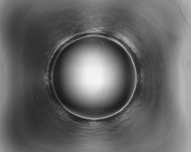 X0000093721308200710161051