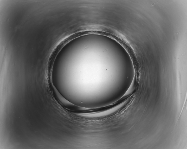 X0000093721312200710161051