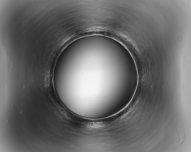 X0000093721313200710161051