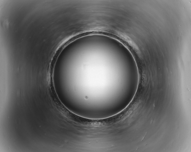 X0000093721316200710161051
