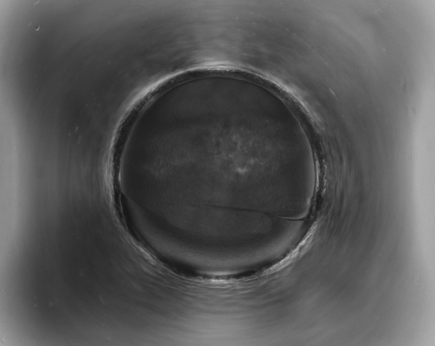 X0000093721319200710161051