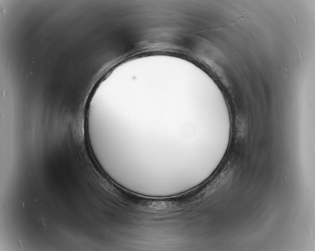 X0000093721322200710161051