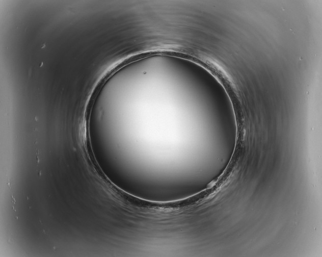 X0000093721324200710161051