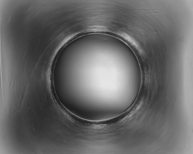 X0000093721325200710161051