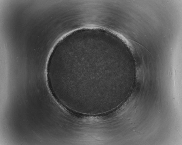 X0000093721327200710161051