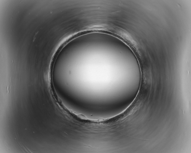 X0000093721328200710161051