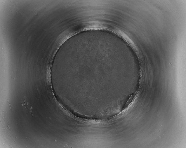X0000093721329200710161051
