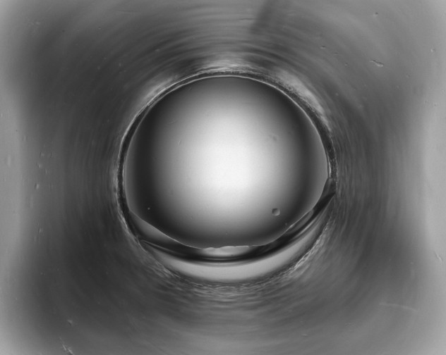 X0000093721330200710161051