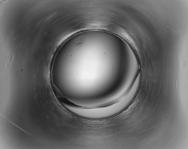 X0000093721336200710161051