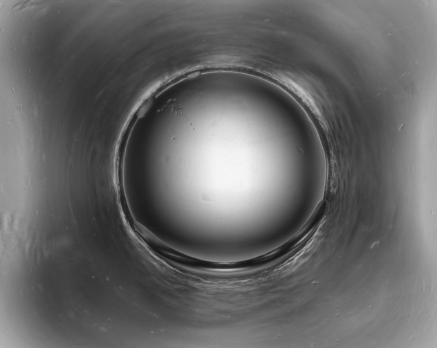 X0000093721342200710161051
