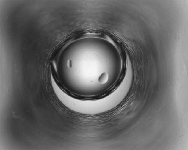 X0000093721348200710161051