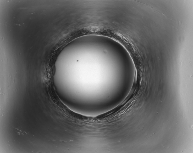 X0000093721349200710161051