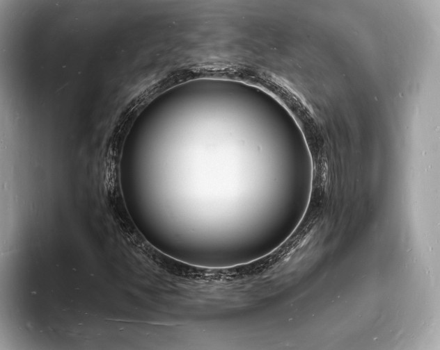 X0000093721350200710161051