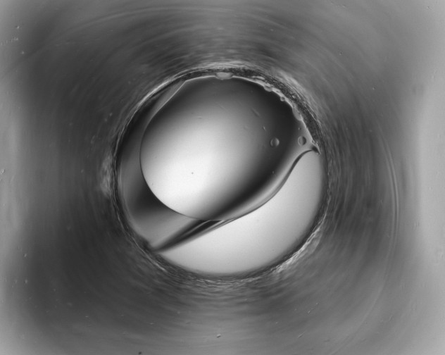 X0000093721361200710161051