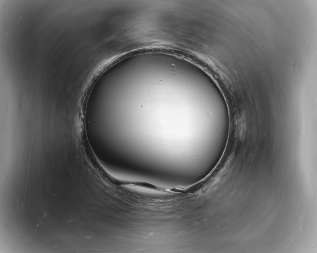 X0000093721363200710161051