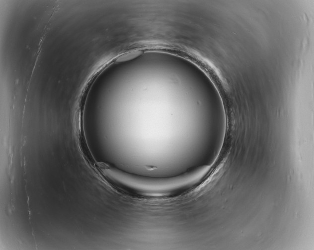 X0000093721365200710161051
