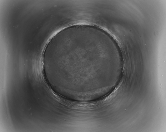 X0000093721367200710161051