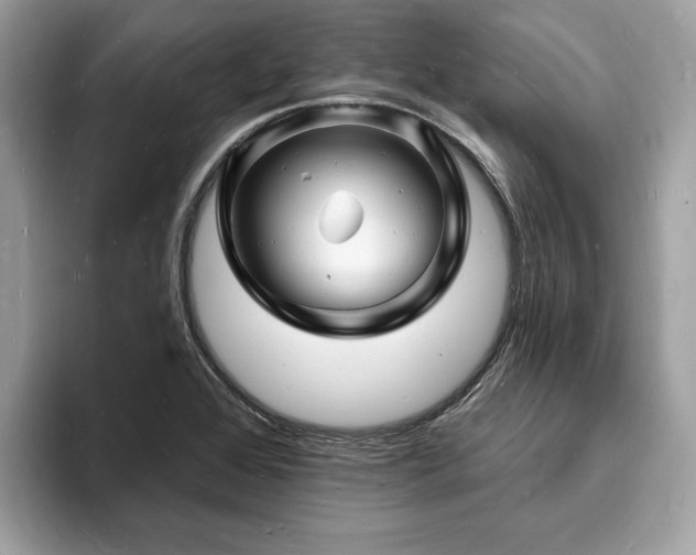 X0000093721368200710161051