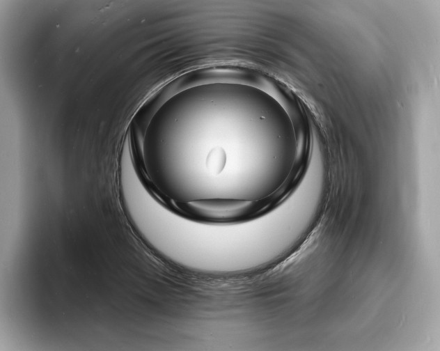 X0000093721369200710161051